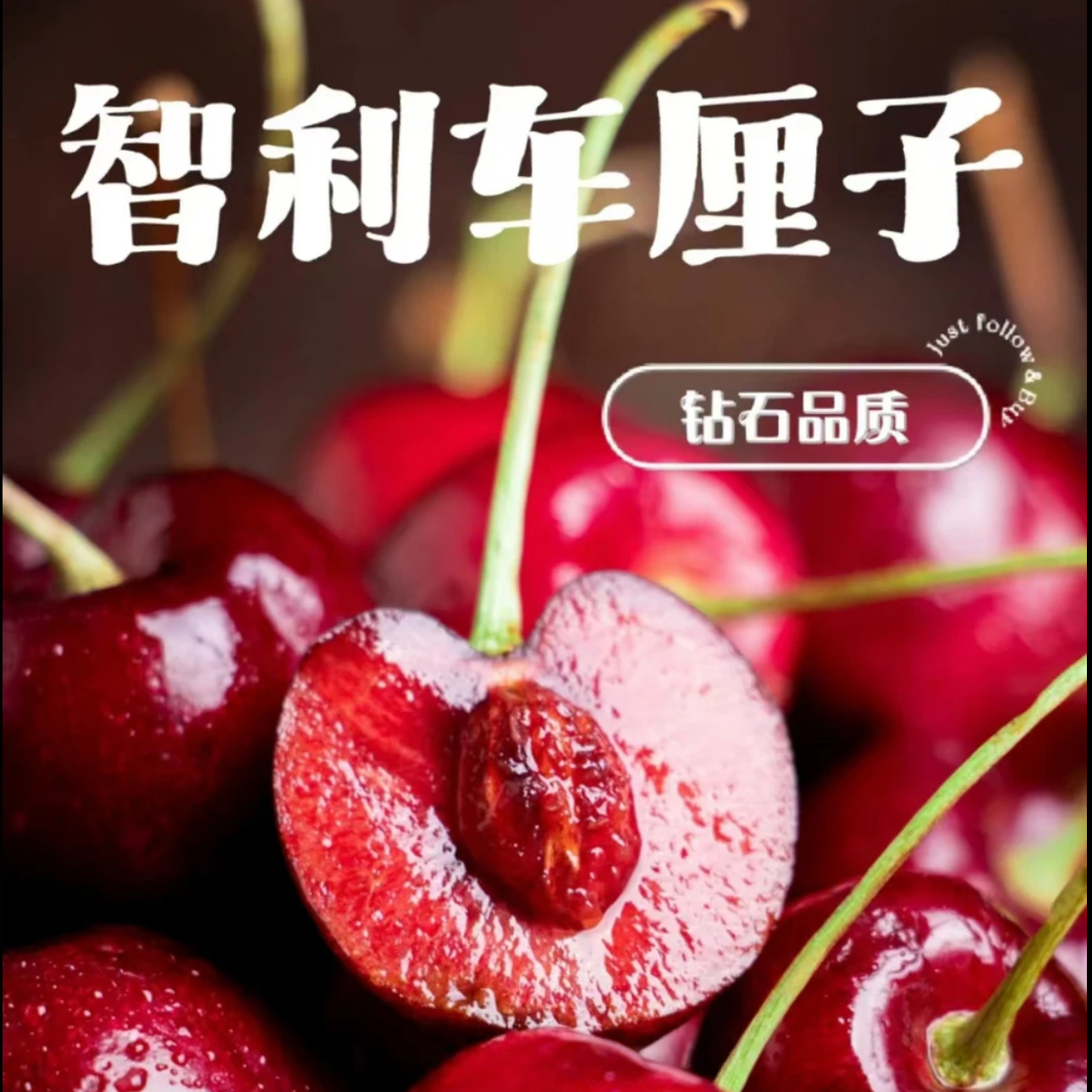 【山南小时达】XL 进口智利车厘子5斤