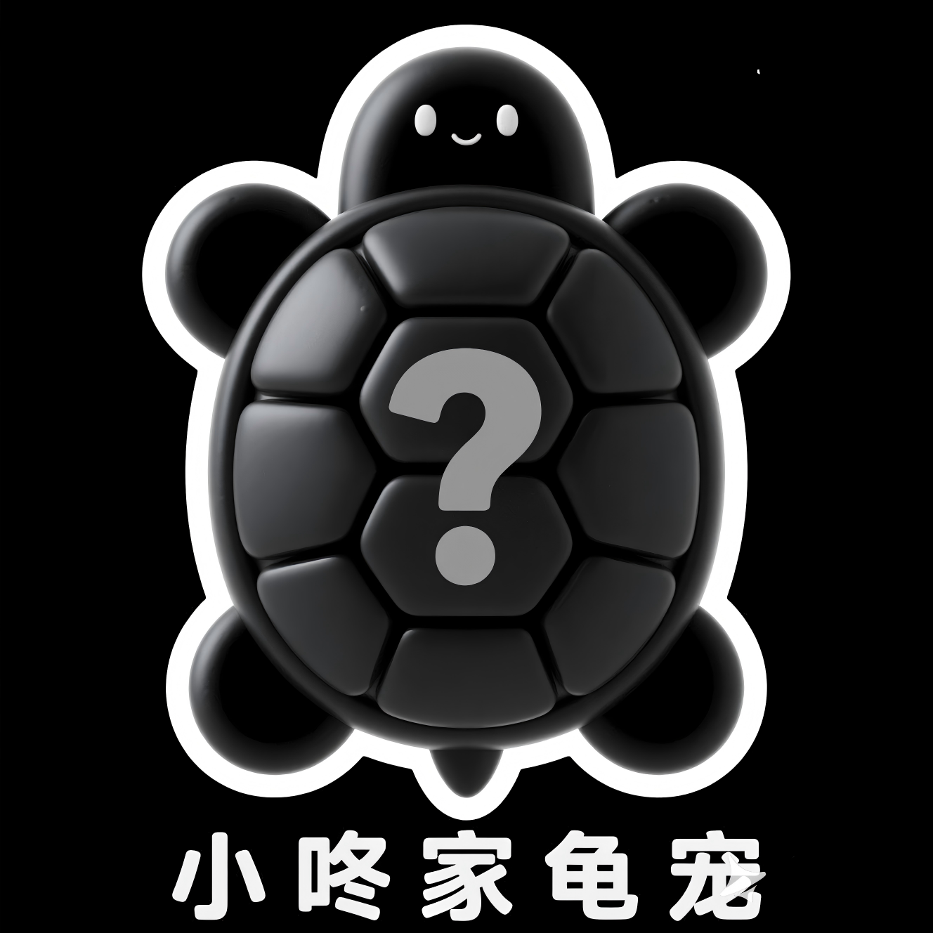 直播间甄选龟龟随机发 随机品种（盲盒性质开奖后不退不换）