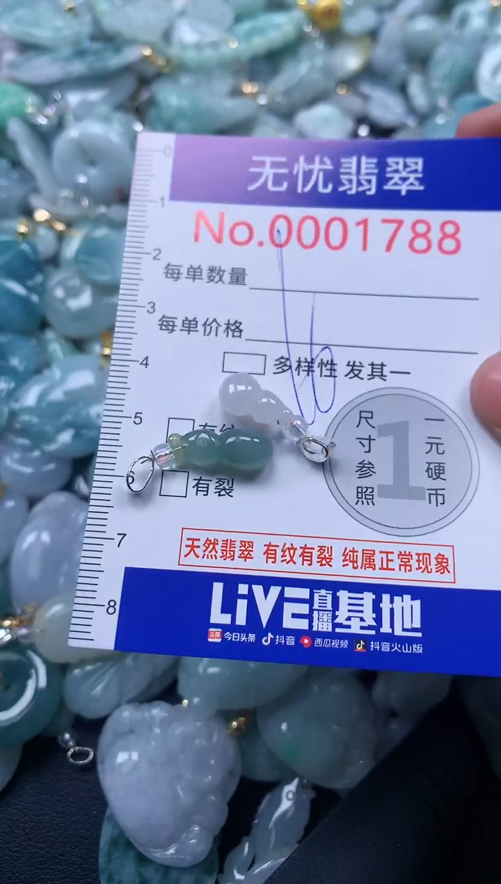 颈饰未镶嵌翡翠1788