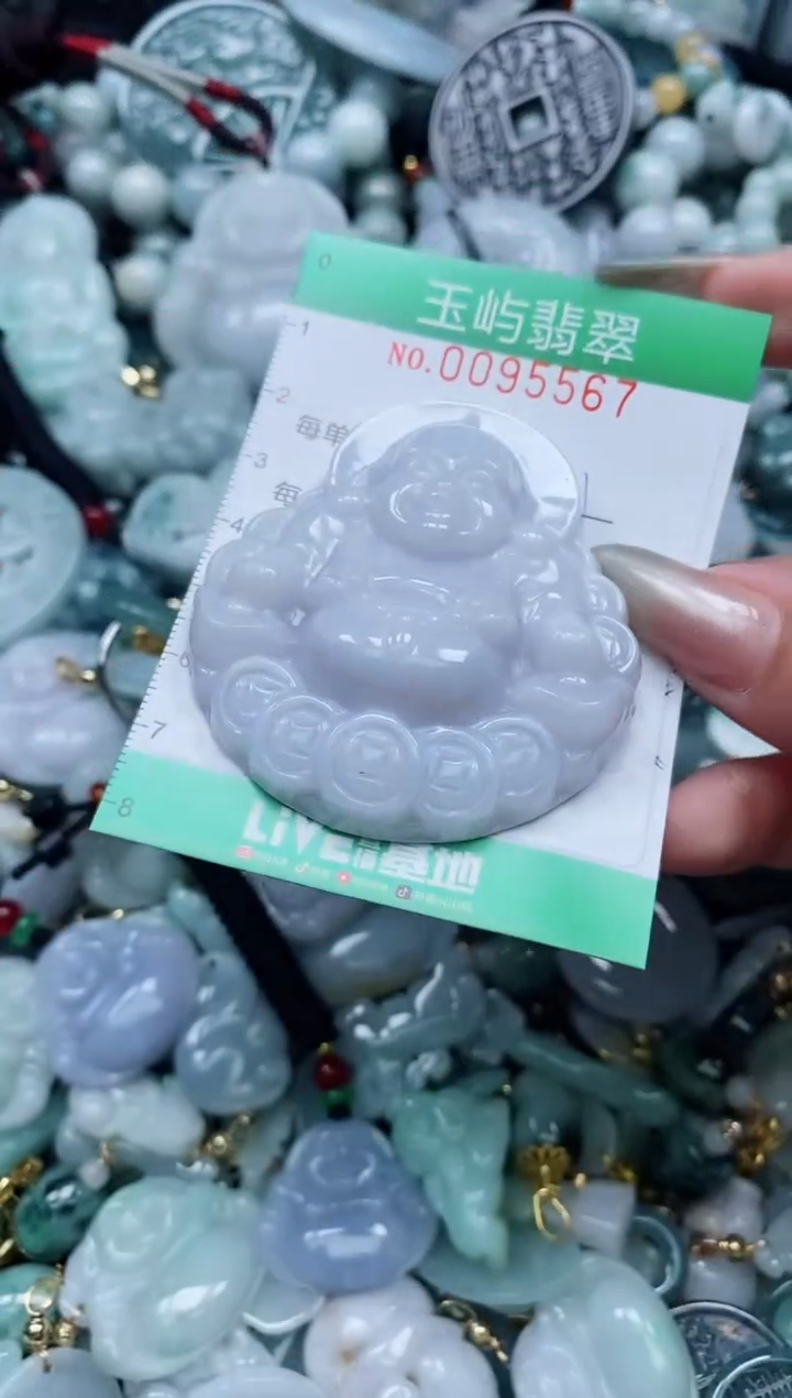 【闪购商品】翡翠颈饰未镶嵌闪购0095567