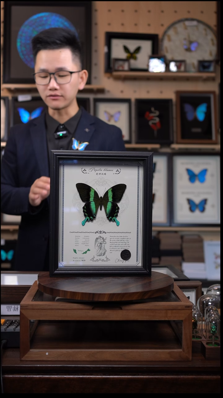 爱神凤蝶重逢艺术款10寸