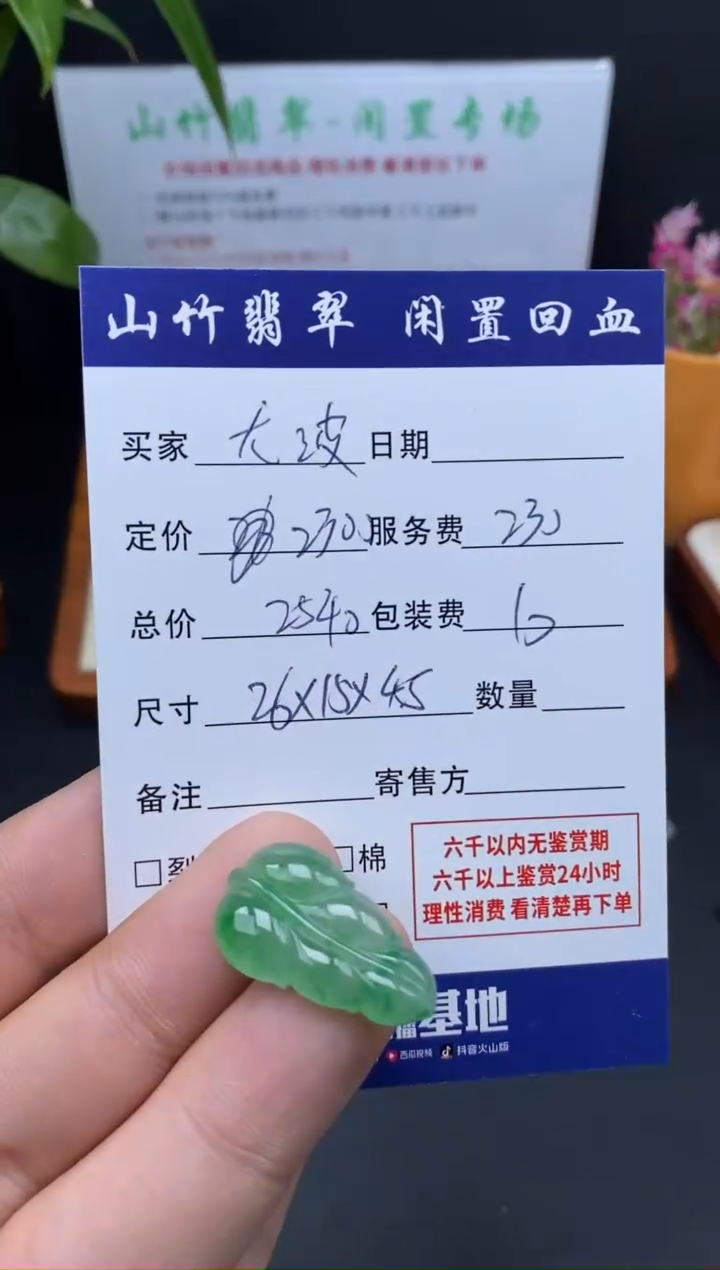 颈饰未镶嵌翡翠龙*3001069