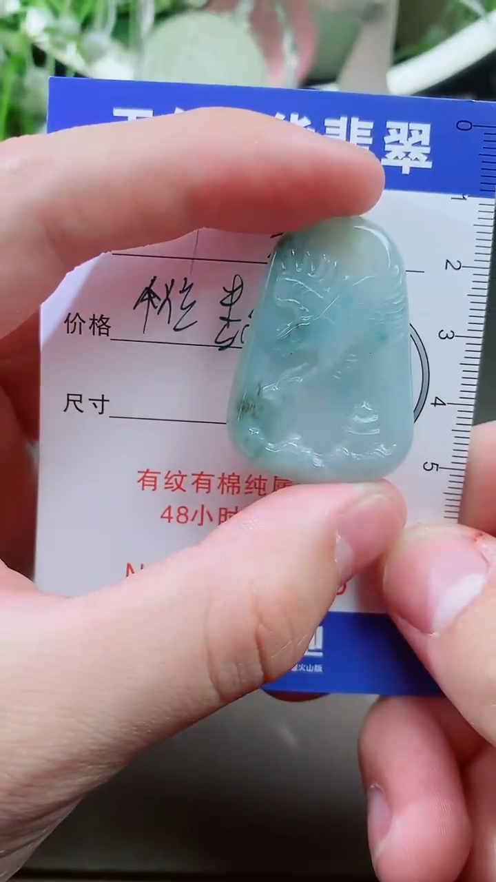 【闪购商品】翡翠颈饰未镶嵌天然A货翡翠一件