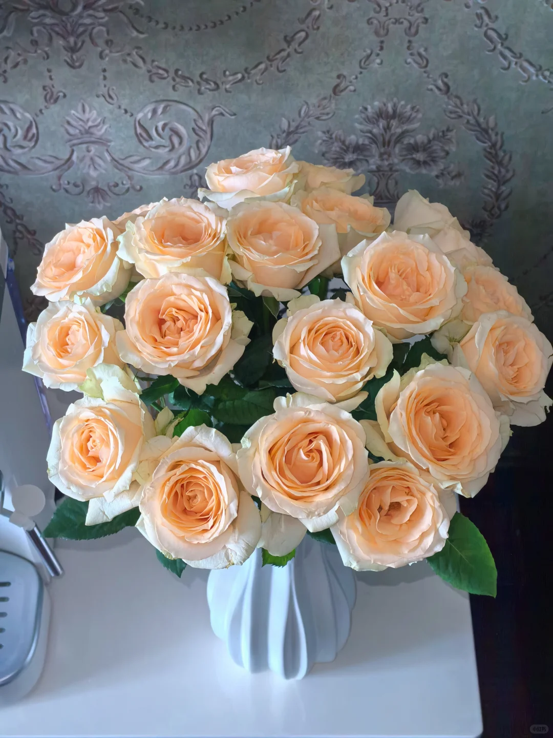 【香槟玫瑰】 一单也包邮  两单加品牌营养液5包  云南基地直发鲜花