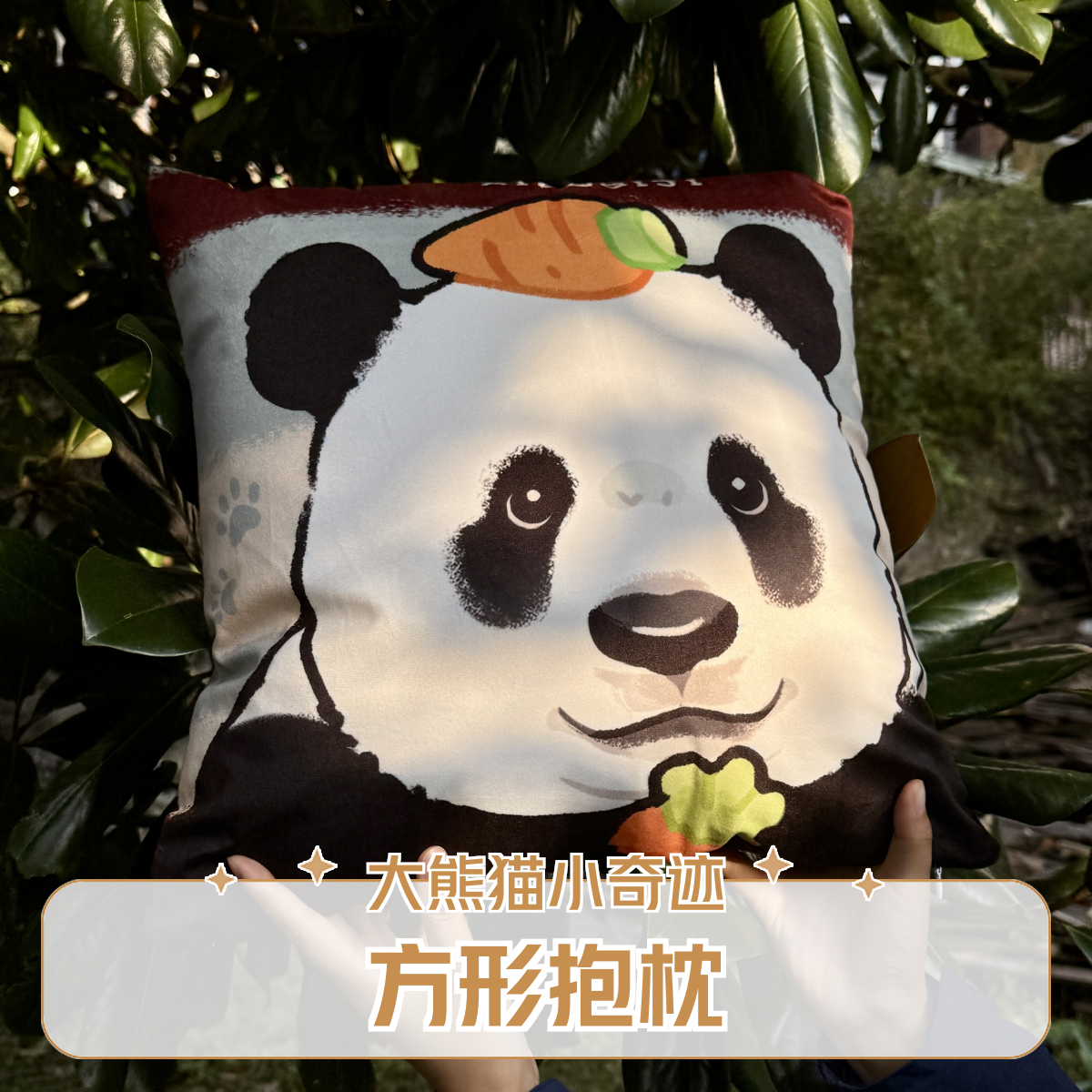 【卧龙中华大熊猫苑】大熊猫小奇迹方形抱枕