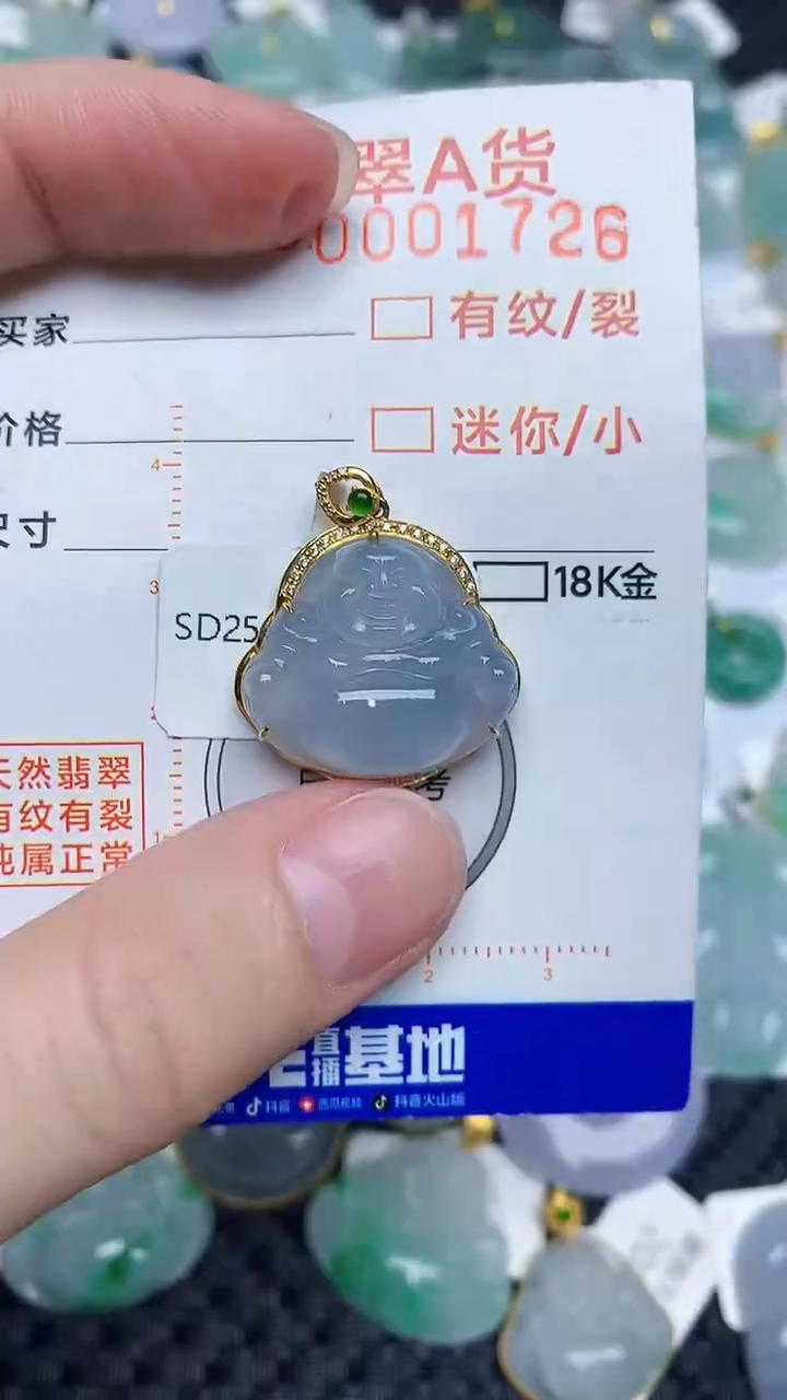 【闪购商品】翡翠颈饰18K金镶嵌23232323