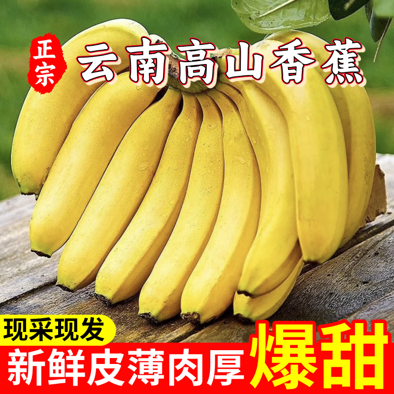【产地直销】正宗云南高山香蕉新鲜现摘自然熟原生态树上包邮