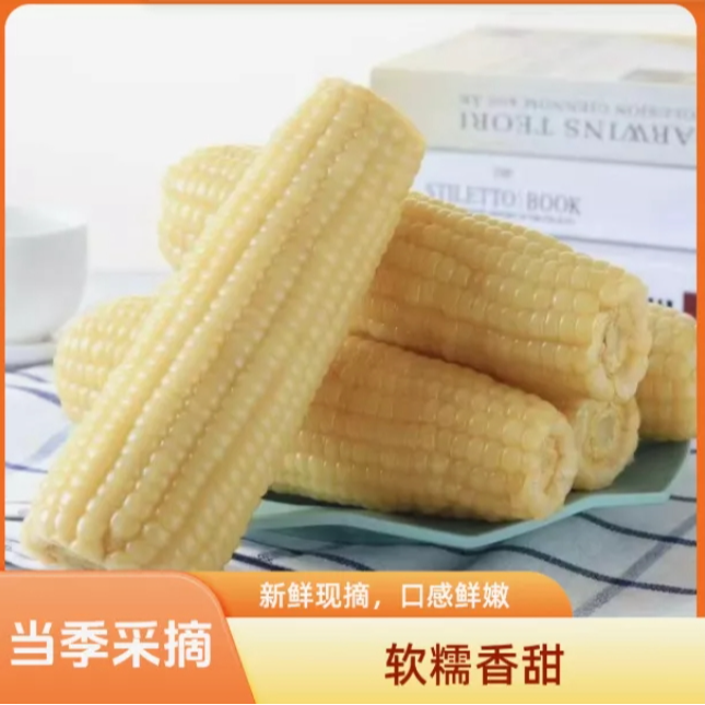 【阿飞专属】东北奶香大白糯香甜玉米