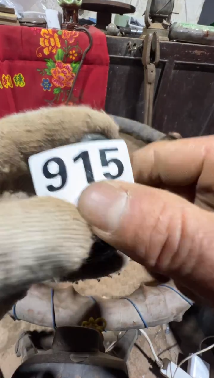 赵****）08180老王直播间专属链接