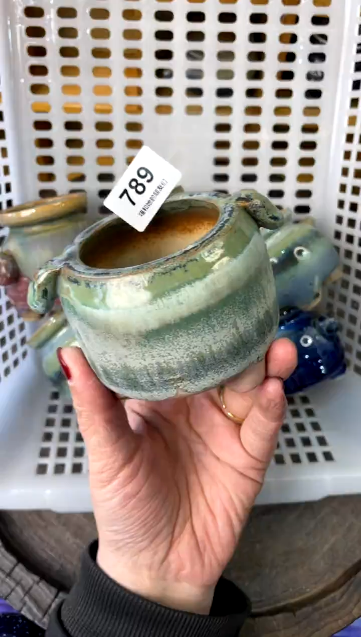 【闪购商品】陶789 内口5.5【喵喵团圆多肉盆】