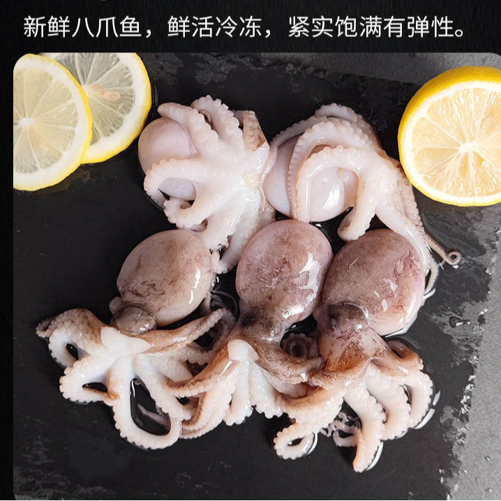 新鲜速冻 短腿迷你八爪鱼  2斤  3斤