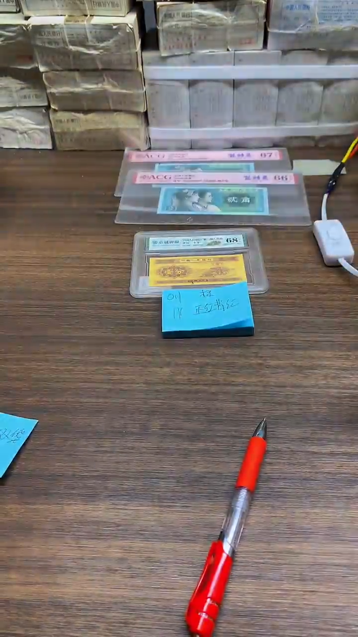 IY 正红背红 0.1标十标十