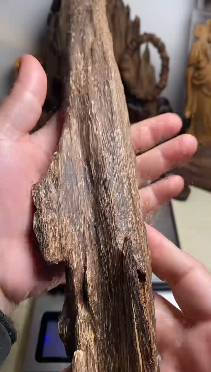 【闪购商品】沉香沉香碎屑海南沉香虫漏料88克