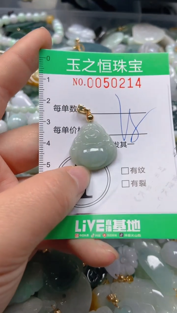 【闪购商品】翡翠颈饰未镶嵌闪购0050214