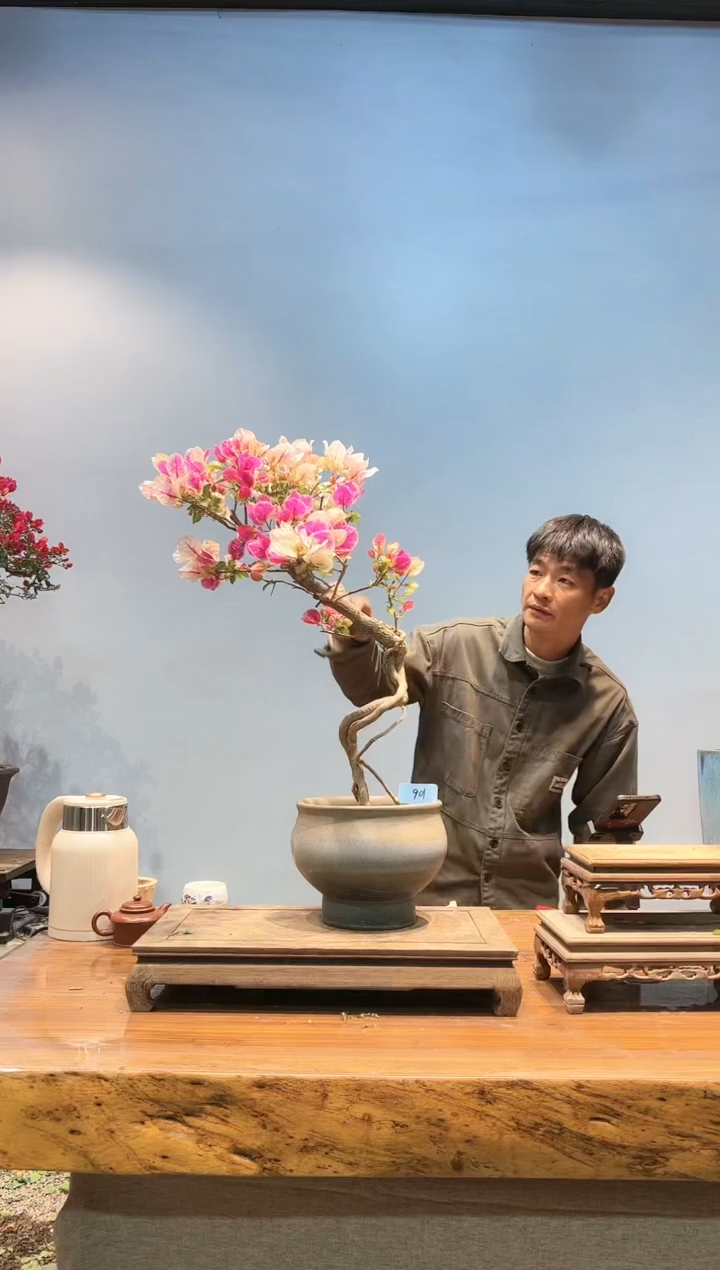 【闪购商品】aa901