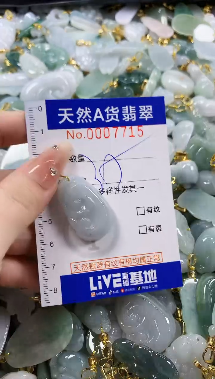 颈饰未镶嵌翡翠天然A货翡翠