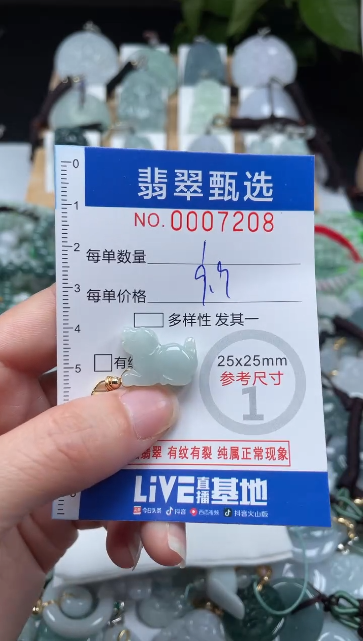 【闪购商品】翡翠未镶嵌颈饰00..7208