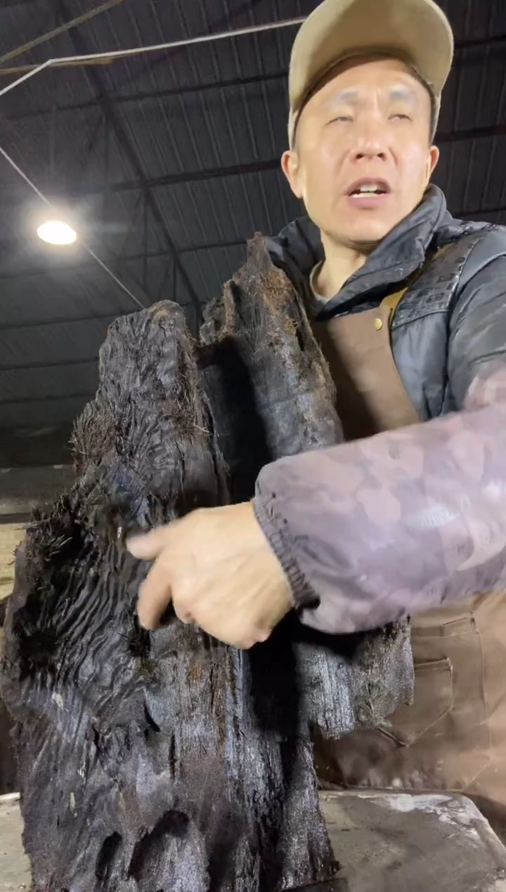 其他楠木（金丝楠）金丝楠小叶桢楠14