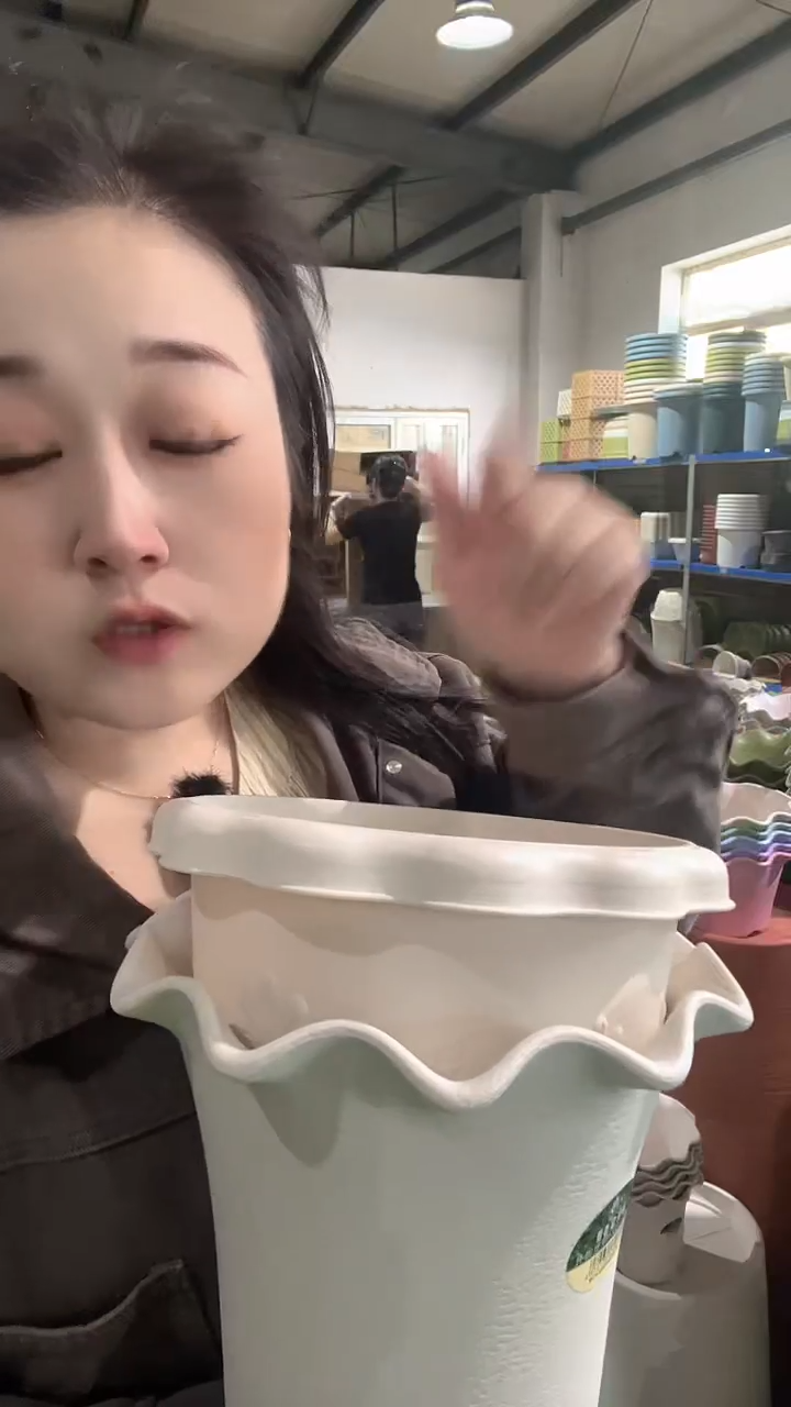 荷叶边5003型号五个米白色带托盘