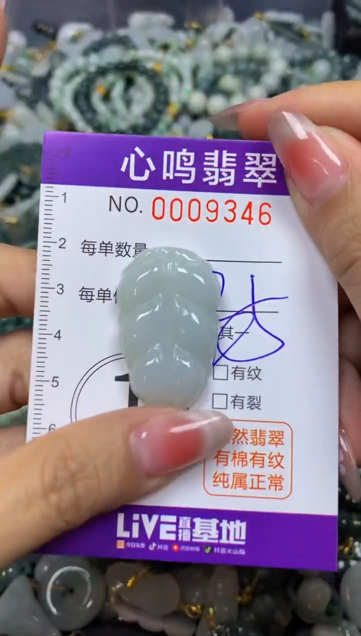【闪购商品】翡翠颈饰未镶嵌闪购009346