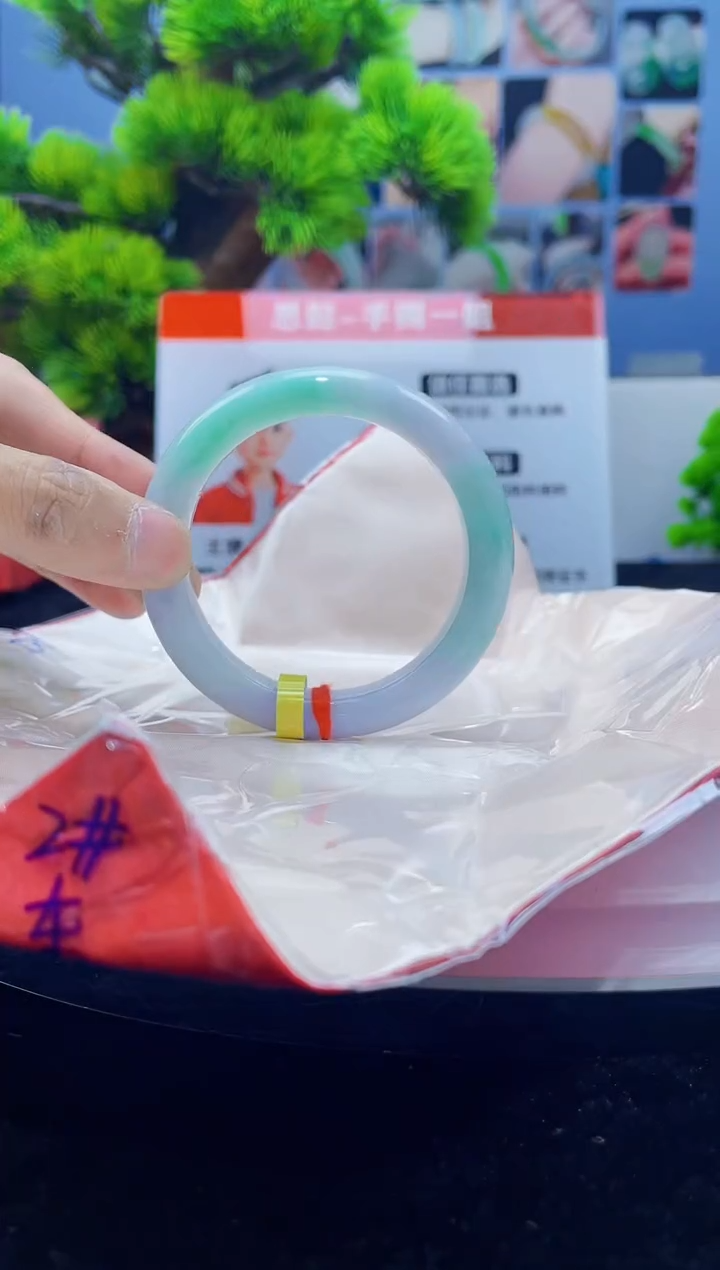 翡翠未镶嵌手镯13手镯