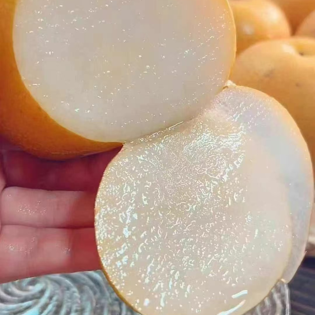 【吃货家优选】羊脂秋月梨一箱6个净重3.3斤