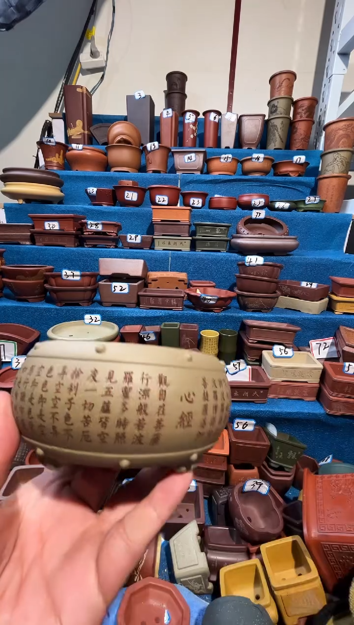 【闪购商品】紫砂紫砂花盆10.5*5.5