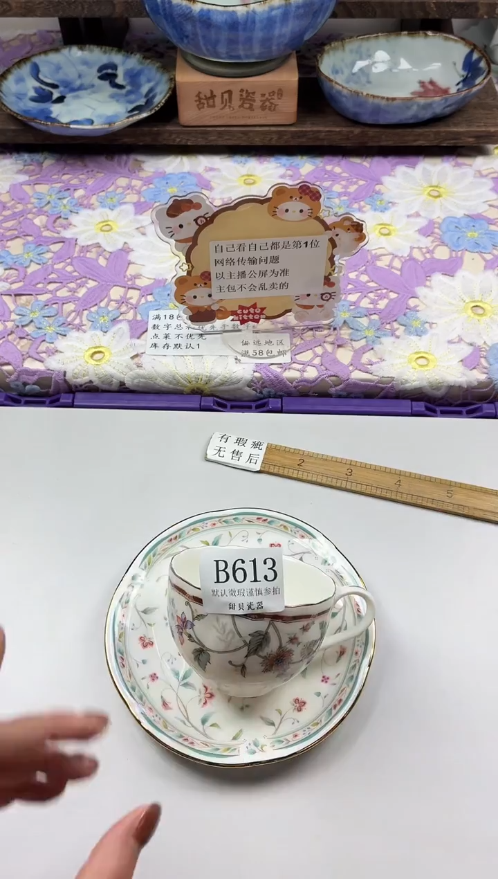 瓷片                B613