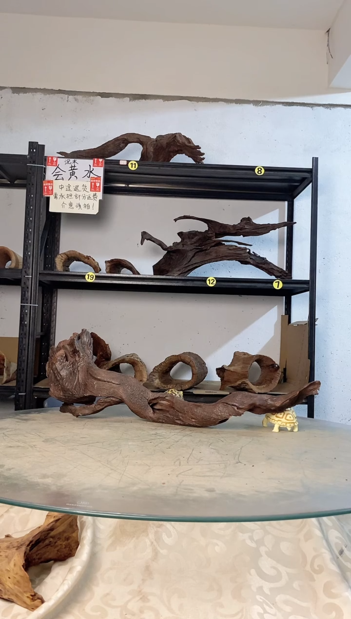 山***边鱼缸爬宠造景素830