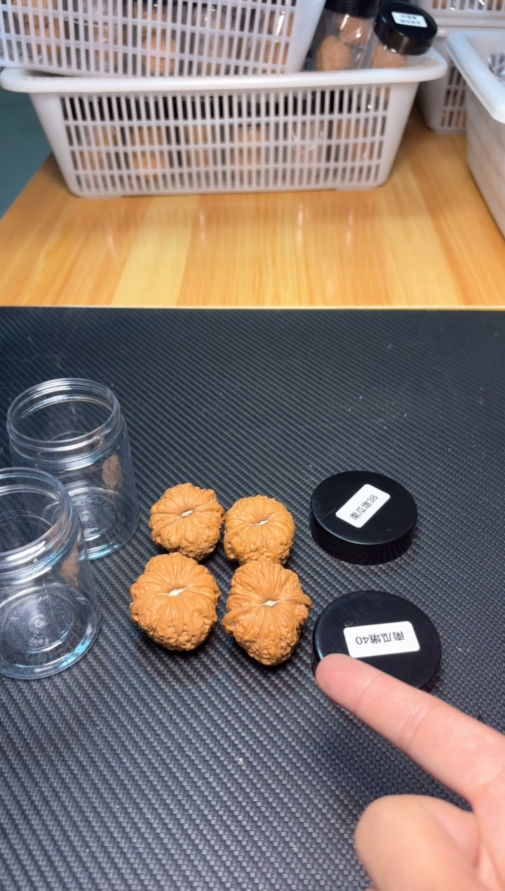 文玩核桃把件189南瓜墩