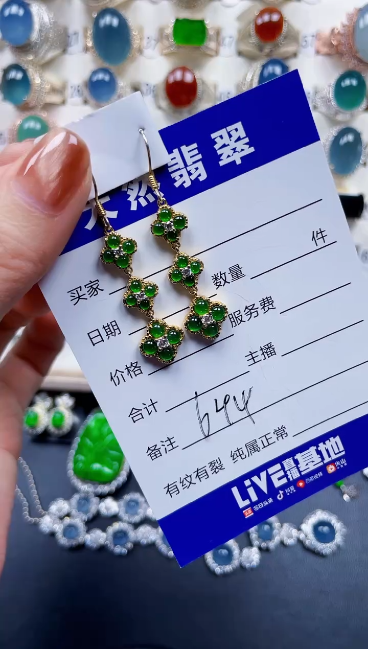 银S925镶嵌翡翠耳饰644