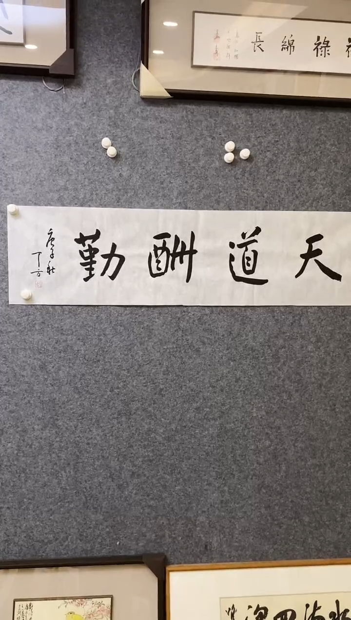 【闪购商品】书法DF软片 04  天道酬勤