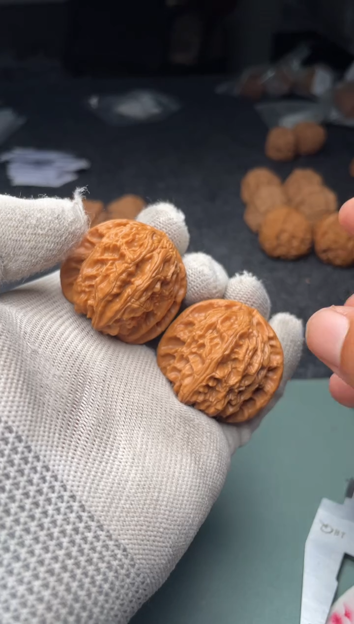 核桃a238   白狮子   37尺