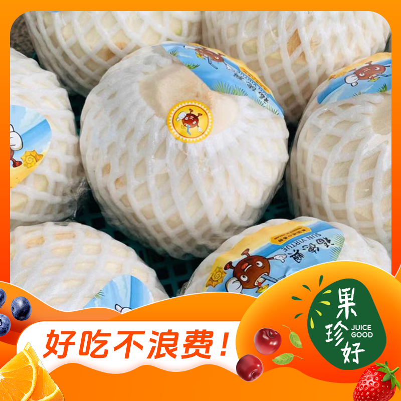 泰国进口香水椰青（配吸管）（3个/9个1箱装多规格可选）大果约1000g-1200g/个-福州同城小时达