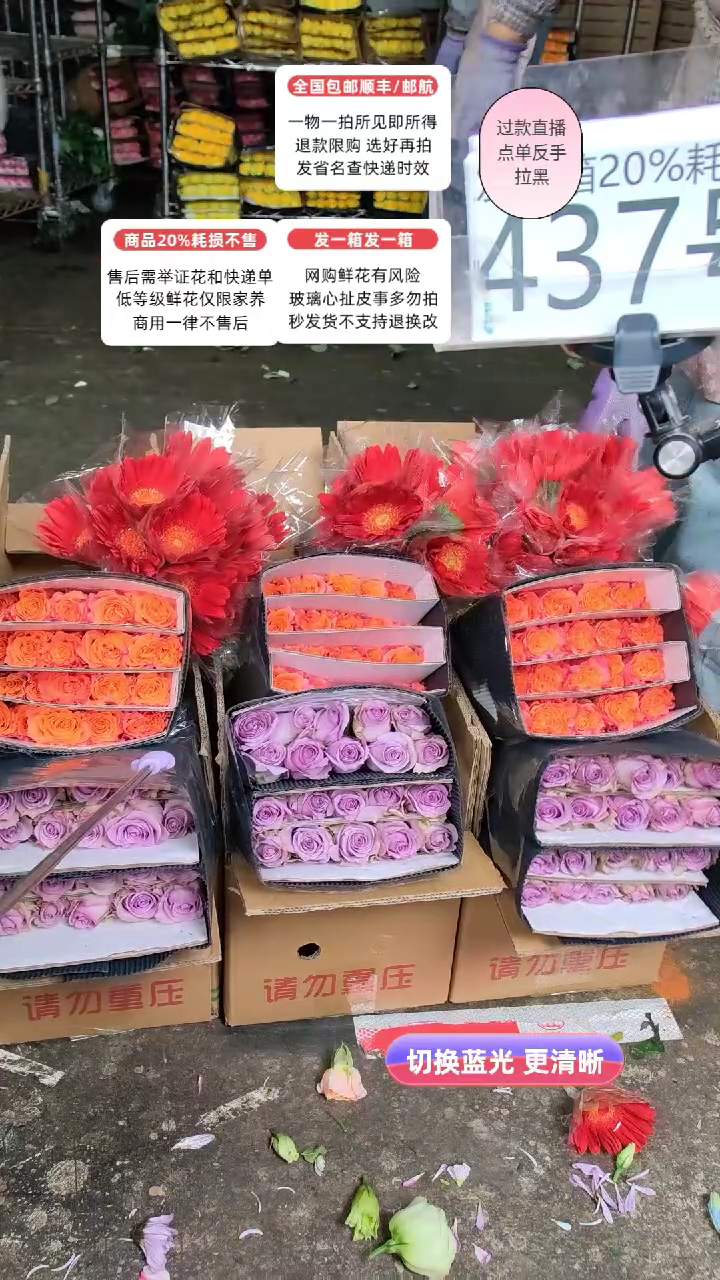 437号♥含20%耗损发一箱