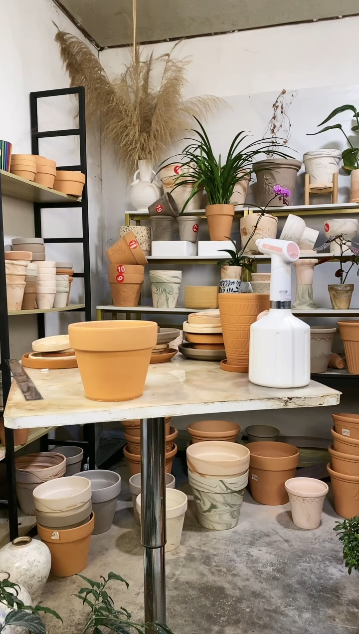 【闪购商品】红陶16*13红陶国际 2盆无托