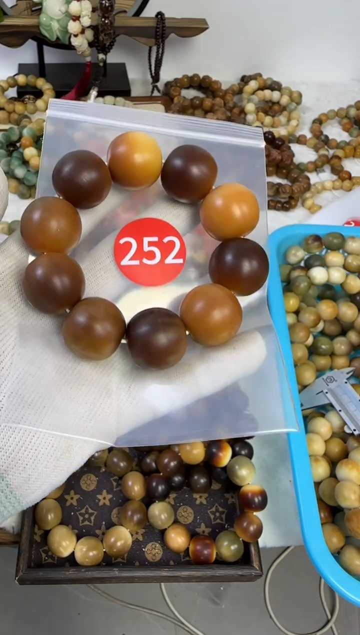 白玉菩提手串23.5干磨近全252