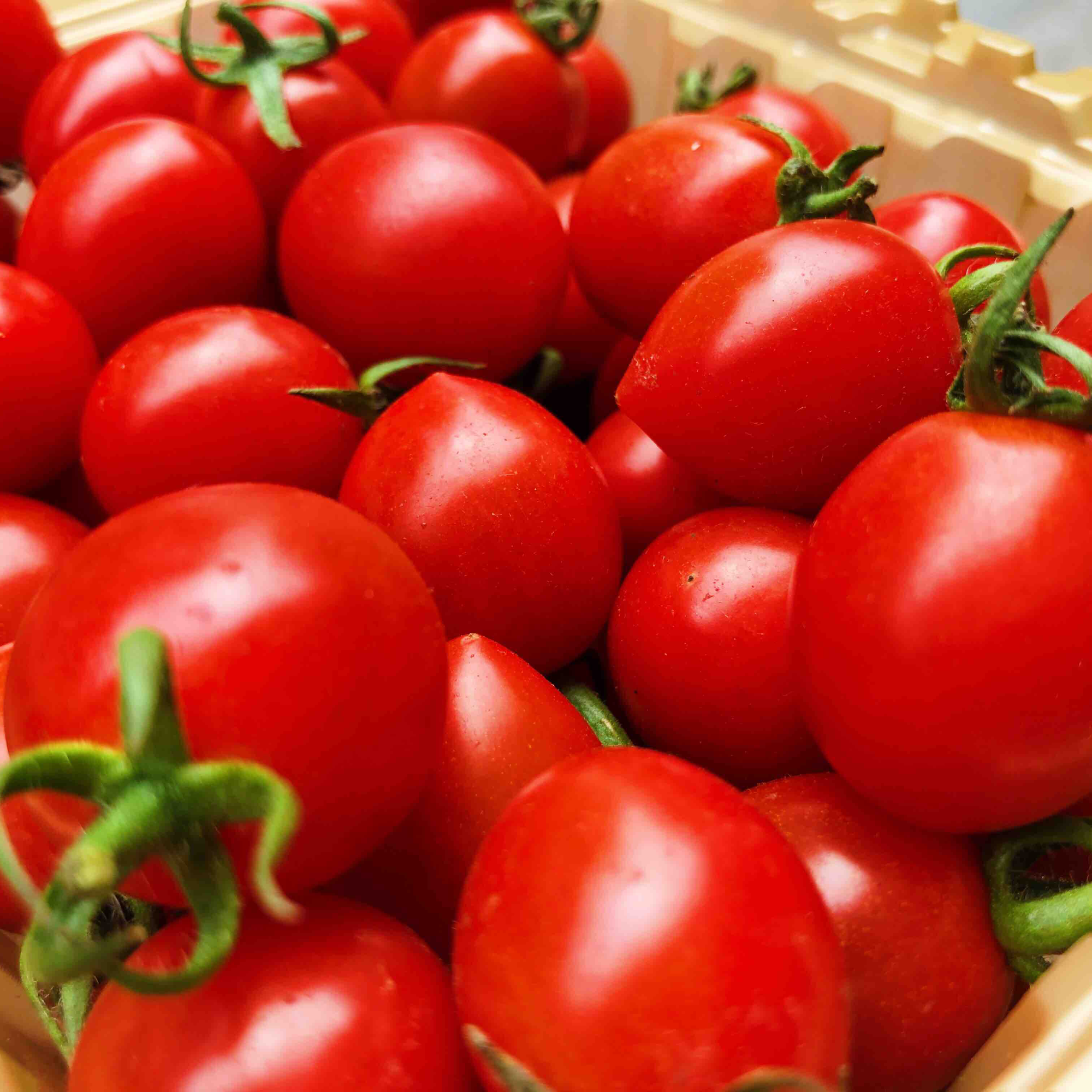 玲珑千禧圣女果1盒500g±20g广东省