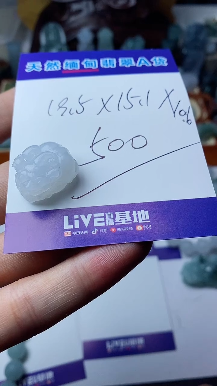 翡翠未镶嵌颈饰貔貅