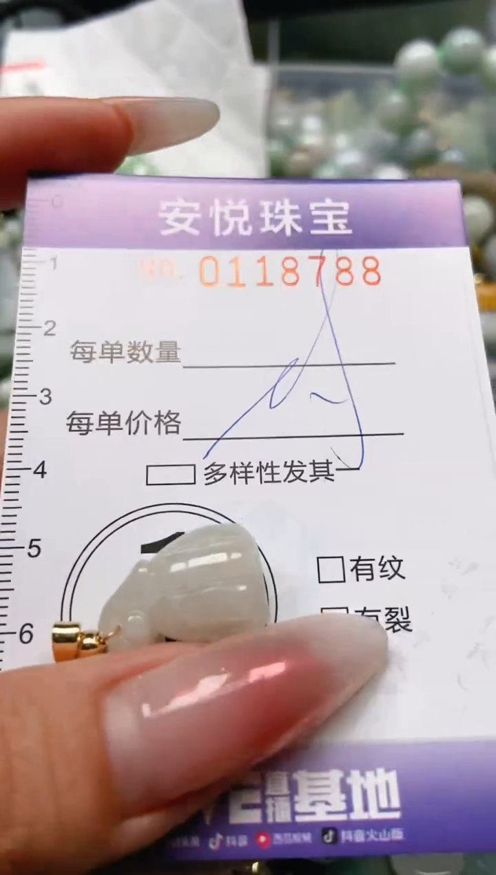 【闪购商品】翡翠颈饰未镶嵌闪购0118788