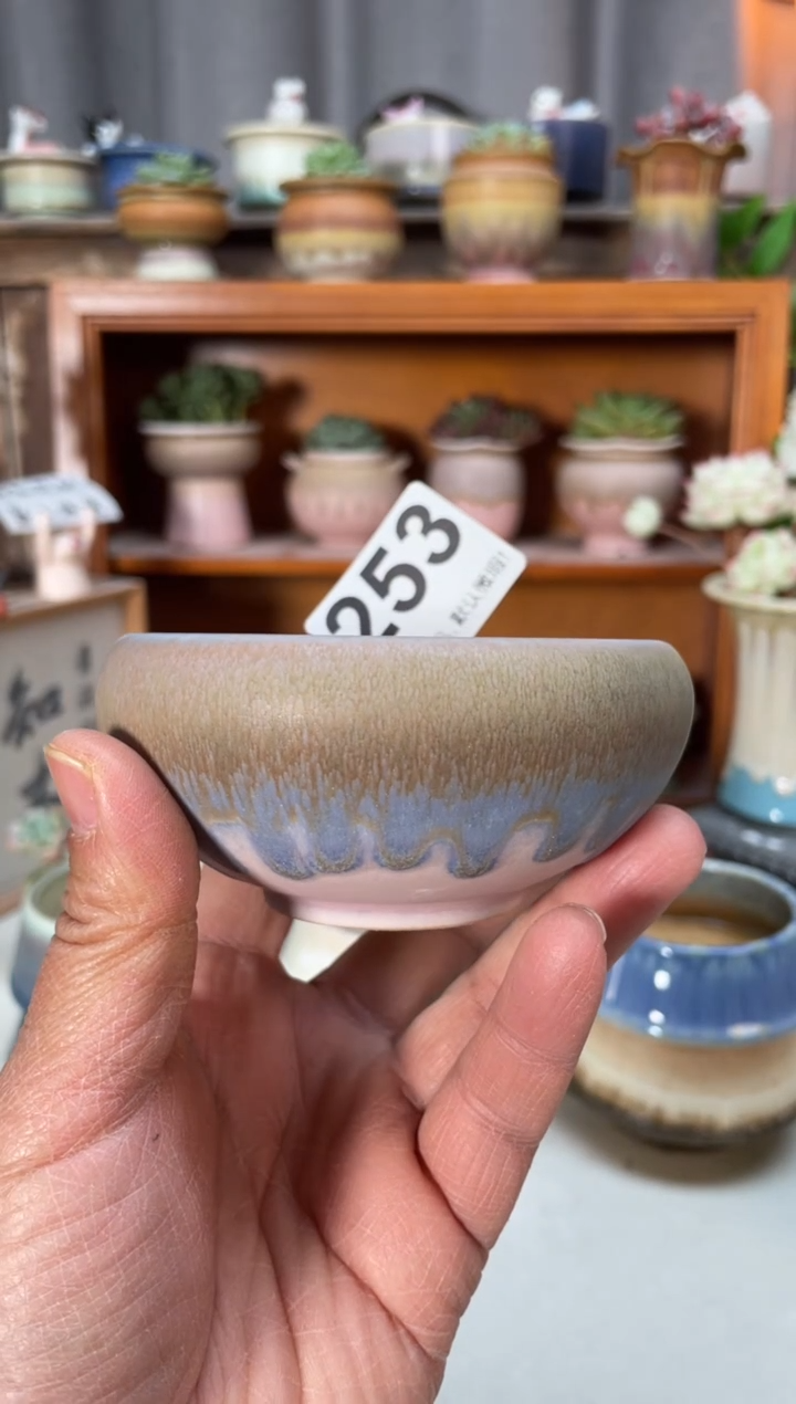 瓷片253小芳直播编号