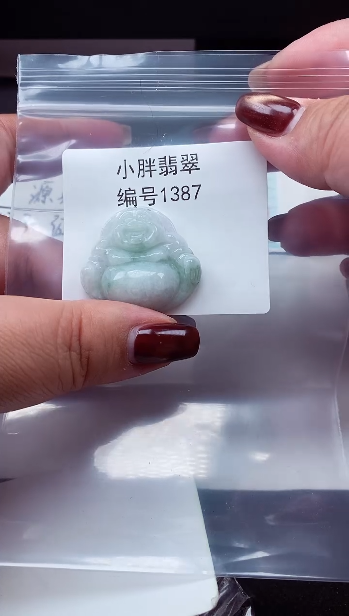 颈饰未镶嵌翡翠缅甸天然A货翡翠1387