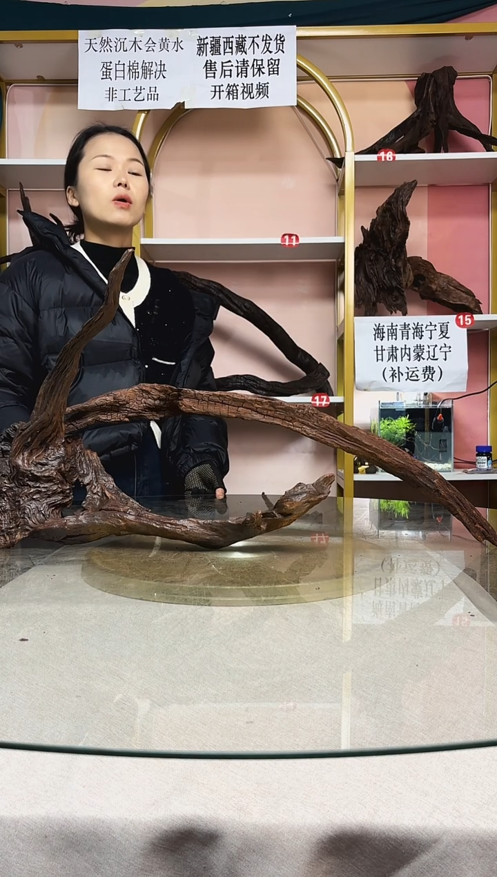 人**态鱼缸造景沉木A880