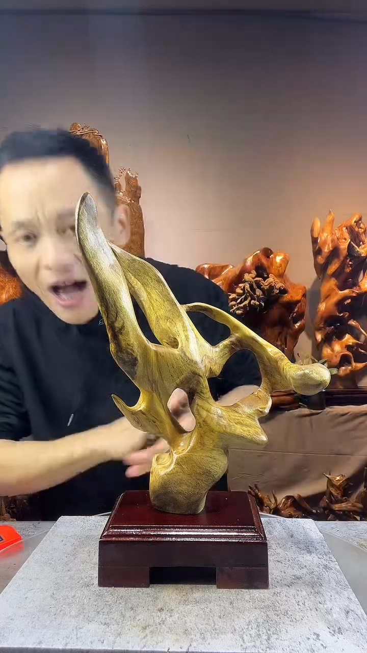 金丝楠招****喵小叶桢楠随行摆件7