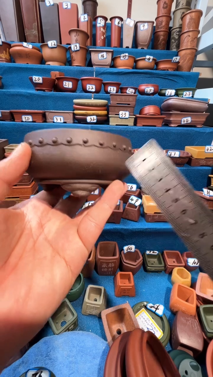 【闪购商品】紫砂紫砂花盆11*3