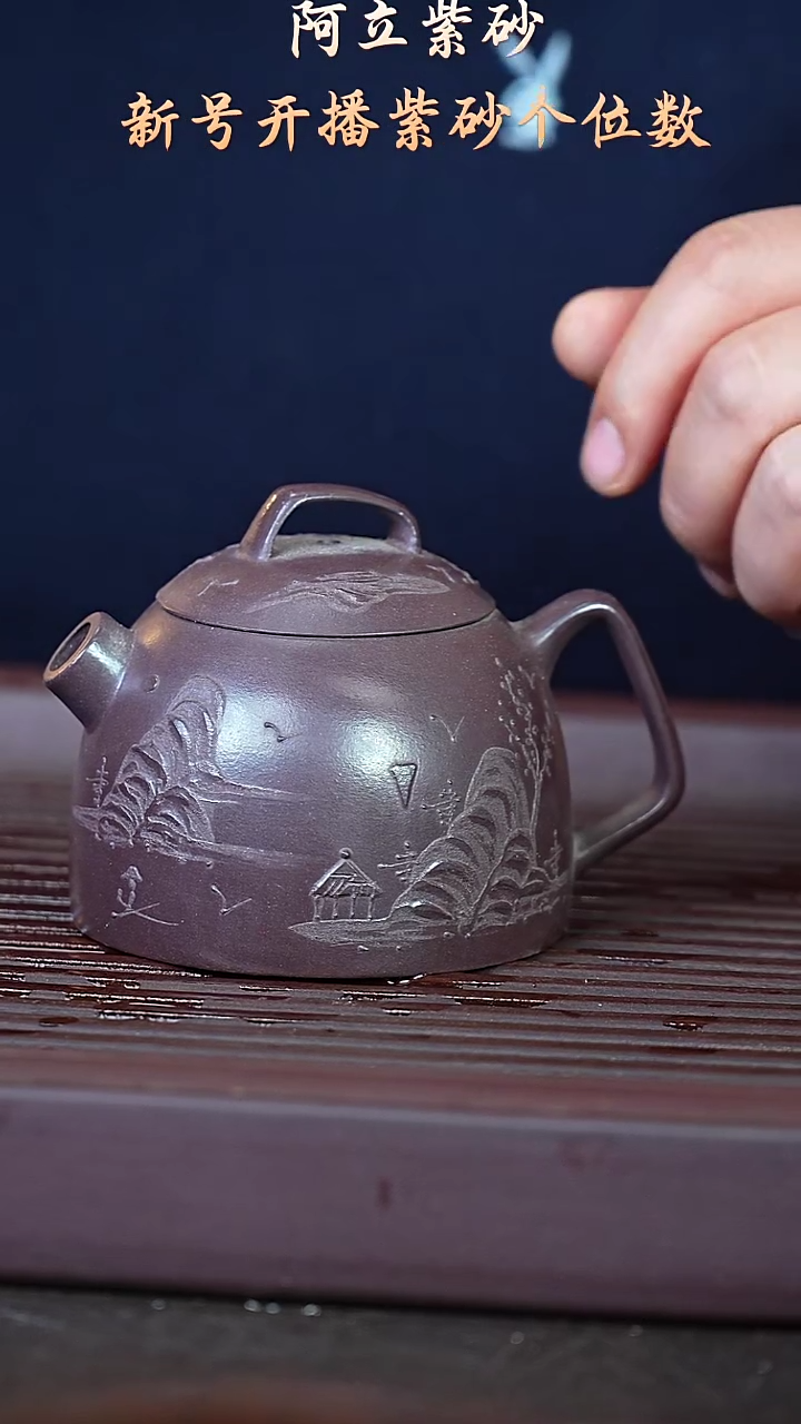 紫砂紫罗兰@@ch04611