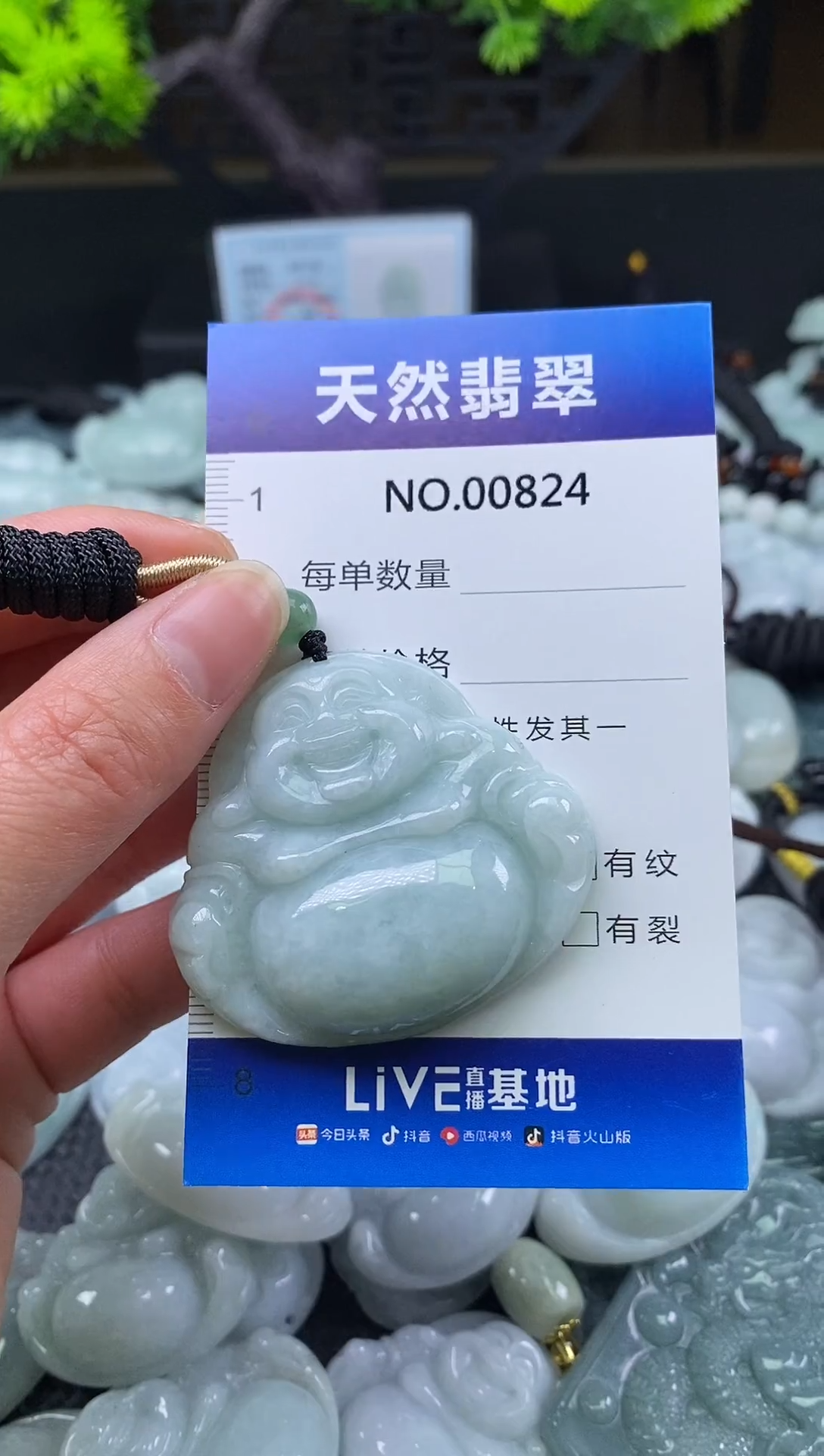 颈饰未镶嵌翡翠天然缅甸翡翠824