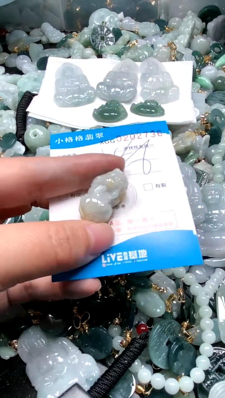 【闪购商品】翡翠颈饰未镶嵌闪购商品0202736