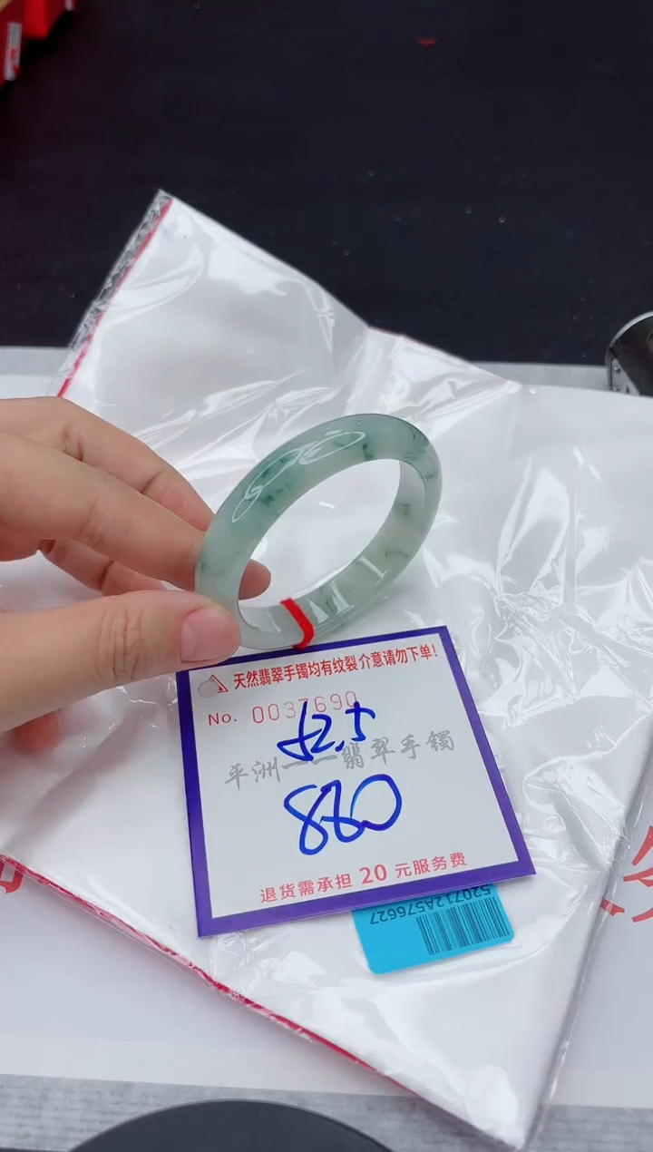 未镶嵌手镯翡翠11111