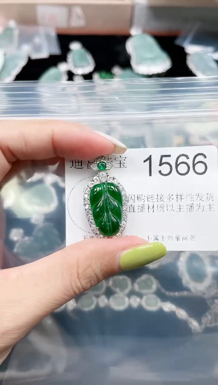 【闪购商品】翡翠颈饰未镶嵌赠皮绳1566